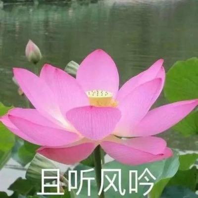 国台办：民进党当局恶意污蔑抹黑大陆，是对台湾民众赤裸裸的欺骗和恐吓