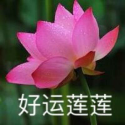 河南驻马店市中心医院党委书记杨长虹已被立案审查调查并留置